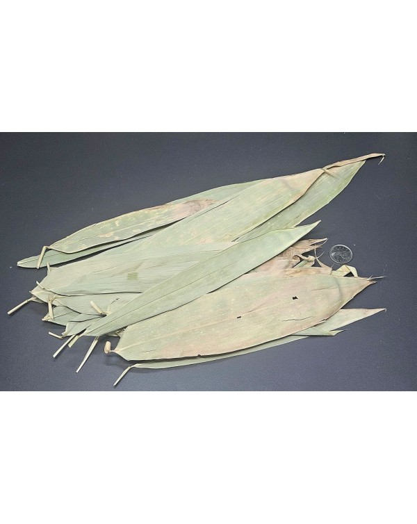 La Swamp Bioactive -  Bamboo Leaves 1.0 oz