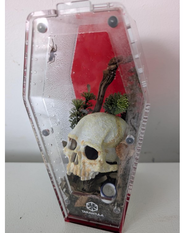 Tarantula Cribs -  Medium Coffin - Red 10"x5"x5"
