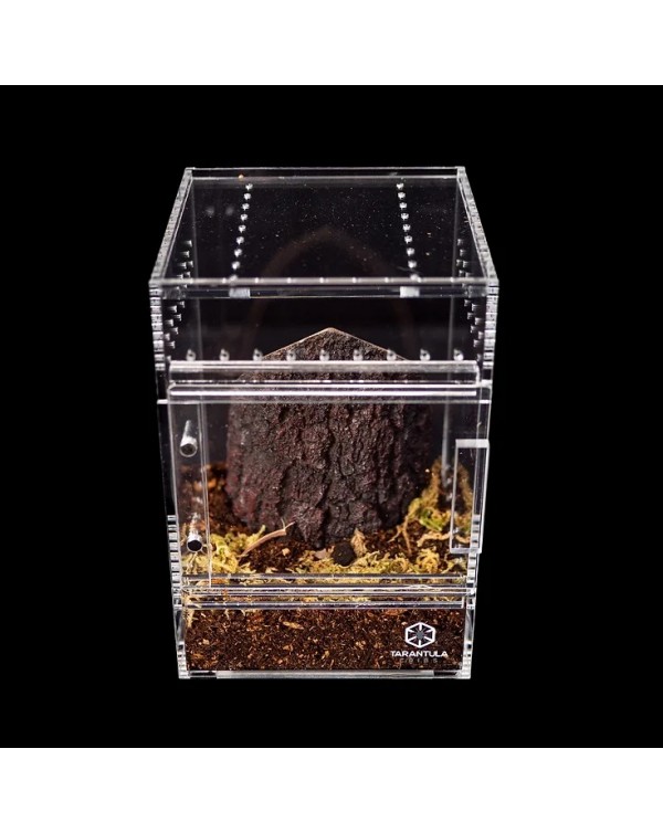 Tarantula Cribs - Small Treehouse- Clear Back - 4''x4''x6'' 