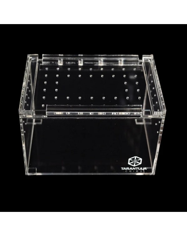 Tarantula Cribs - Small Slider Crib- Clear Bottom 6''x4''x4''