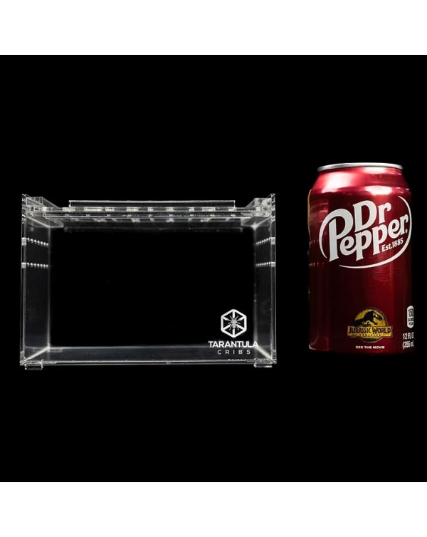 Tarantula Cribs - Small Slider Crib- Clear Bottom 6''x4''x4''