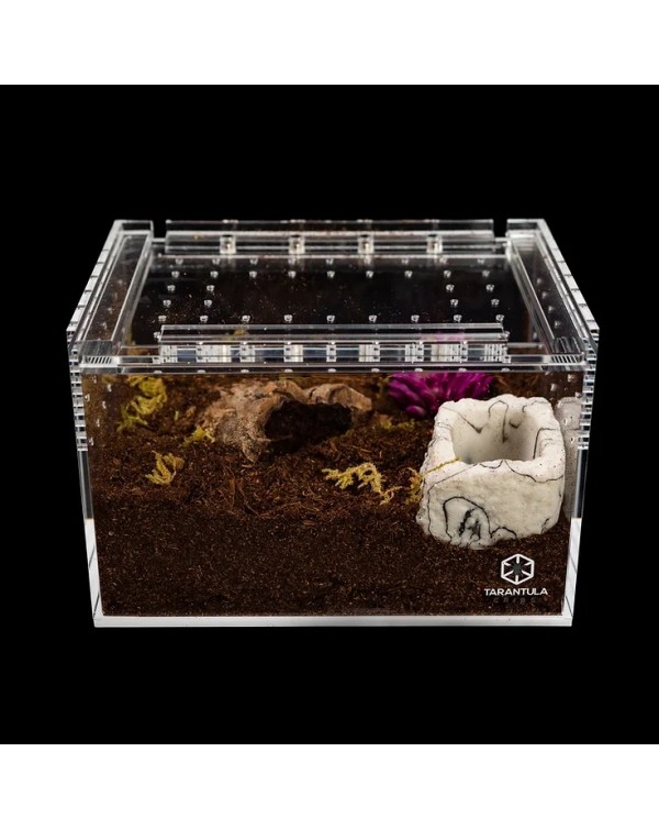 Tarantula Cribs - Small Slider Crib- Clear Bottom 6''x4''x4''