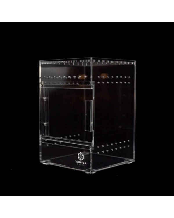Tarantula Cribs - Small Treehouse Switch- Clear Back