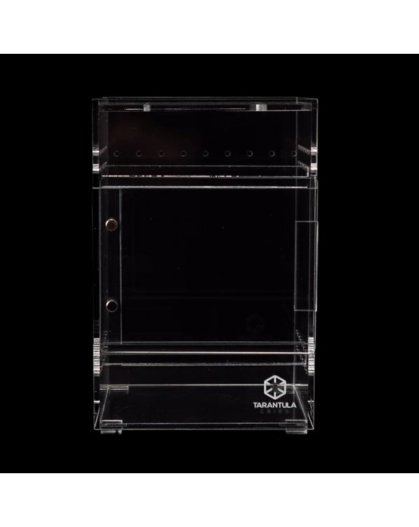 Tarantula Cribs - Small Treehouse Switch- Clear Back
