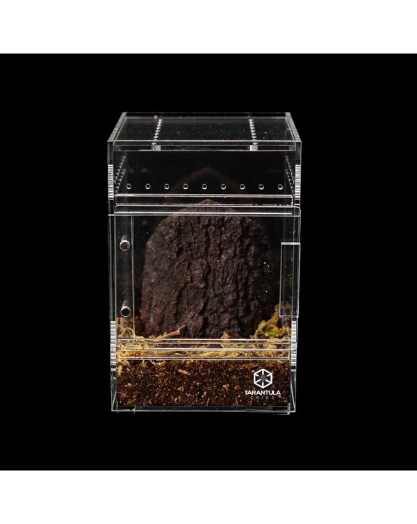 Tarantula Cribs - Small Treehouse Switch- Clear Back