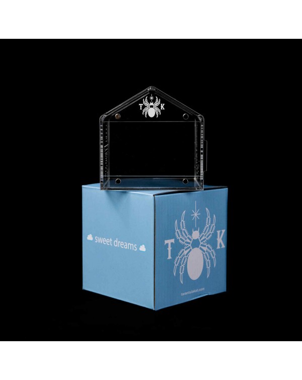 Tarantula Cribs - Tarantula Kat Special Sweet Dreams  4''x4''x4''