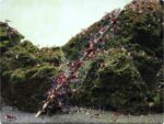 GlasGarten Shrimp Lollies - Moringa Power - Image 3