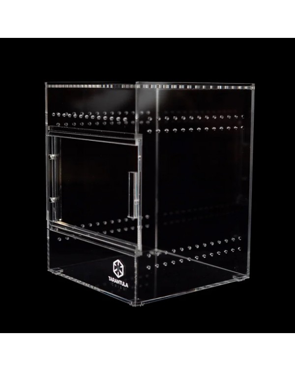 Medium Treehouse- Clear Back-600x754 Tarantula Cribs - Medium Treehouse - Clear Back - 6''x6''x8'' - Image 4