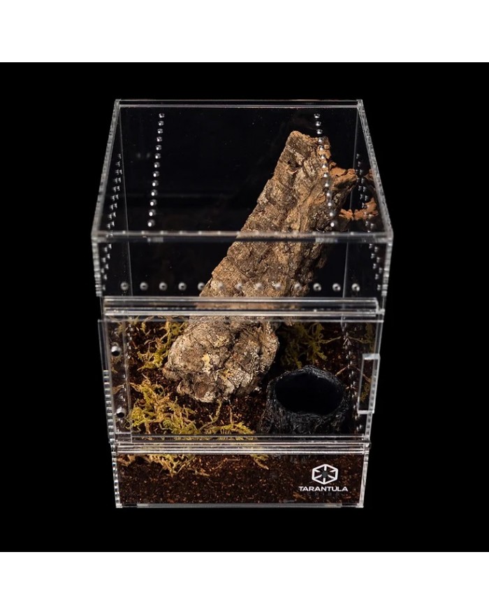 Medium Treehouse- Clear Backc-700x879 Tarantula Cribs - Medium Treehouse - Clear Back - 6''x6''x8'' - Image 3