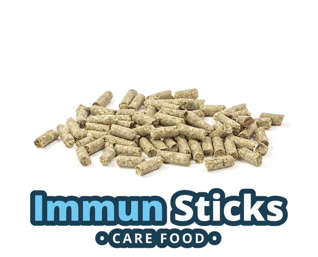 glasgarten-care-food-immun-sticks-garnelenfutter-1030x834-1.jpg GlasGarten Immun Sticks - Care Food 30g - Image 2