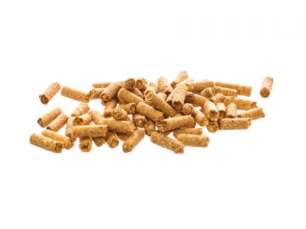 glasgarten-shrimp-snacks-snow-flakes-garnelenfutter-shrimp-food-kuerbis-karotte-pumpkin-carrot-sticks_600x600_e28cae2e-4631-4fb7-951d-1ed0d77821f6.jpg GlasGarten Shrimp Snacks Snow Flakes - Pumpkin-Carrot 30g - Image 2