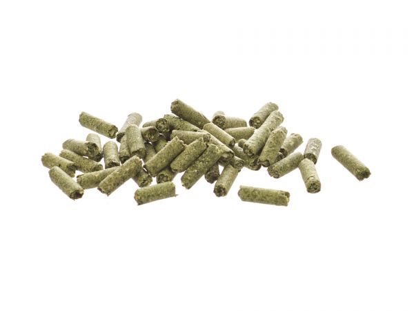 glasgarten-shrimp-snacks-snow-flakes-garnelenfutter-shrimp-food-mangold-spinat-chard-spinach-sticks_600x600_4d9e880b-eb36-4e28-a48d-e3da70223a13.jpg GlasGarten Shrimp Snacks Snow Flakes - Chard-Spinach 30g - Image 2