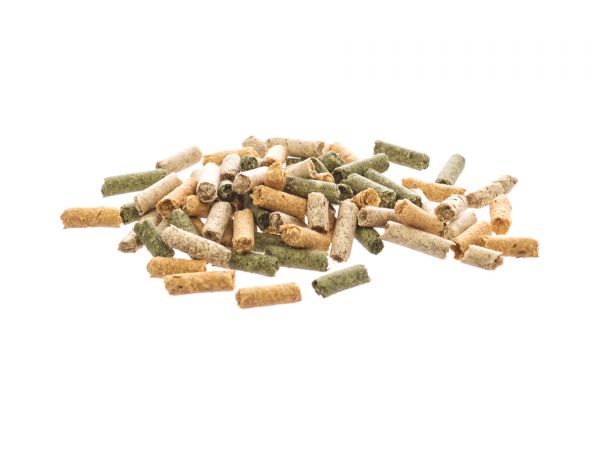 glasgarten-shrimp-snacks-snow-flakes-garnelenfutter-shrimp-food-sticks-mix-3in1-sticks_600x600_e1c0d909-8682-42de-9081-e2501ae0888f.jpg GlasGarten Shrimp Snacks Snow Flakes - Sticks Mix 3in1 30g – Image 2