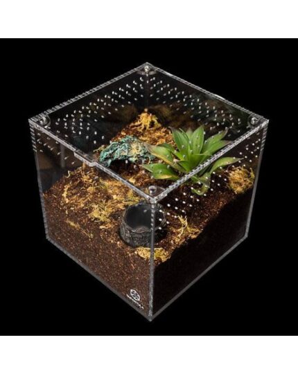 Tarantula Cribs - 4"x4"x4" Cube