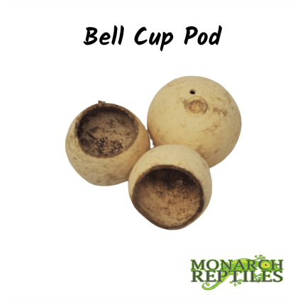 Bell Cups Pods