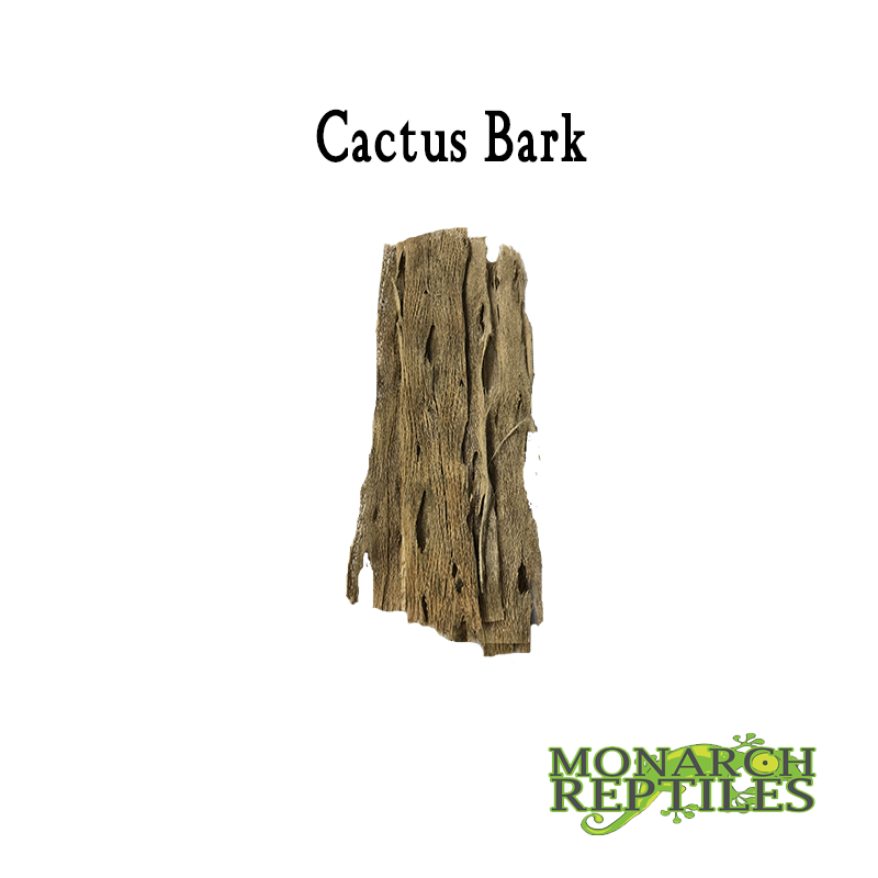 Cactus Bark  Cactus Bark