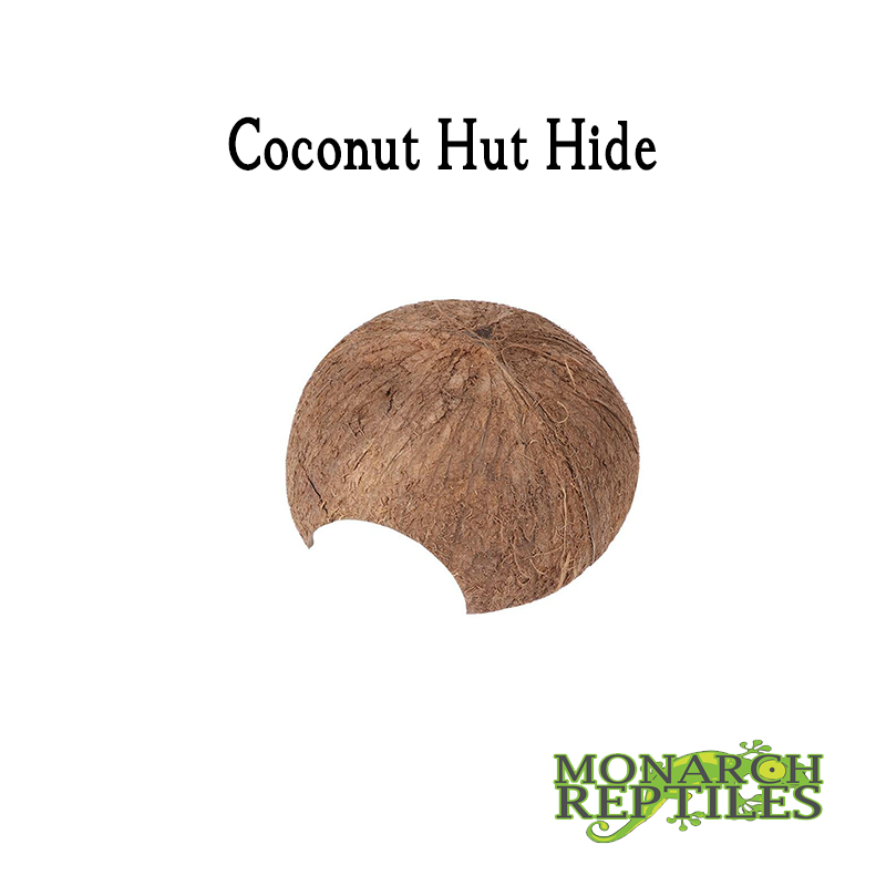 Cache Coconut Hut Coconut Hut Hide