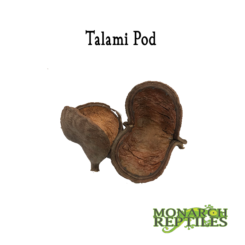 Cosse Talami Talami Pods
