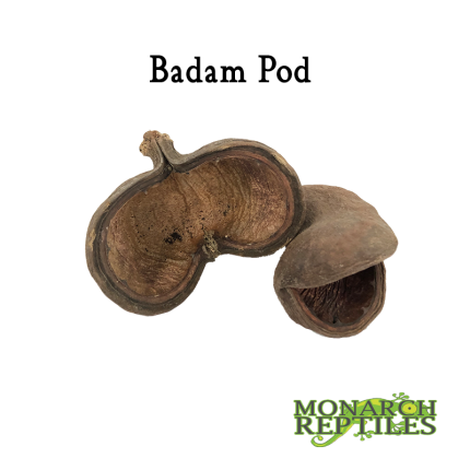 Badam Pods
