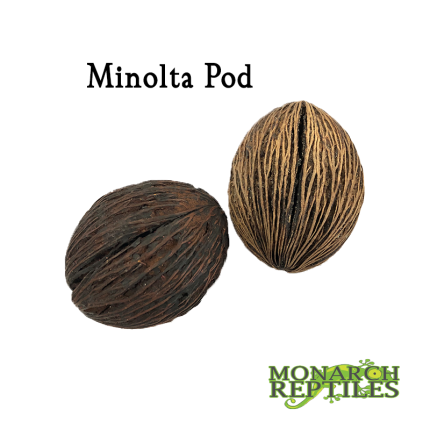 MR- Minolta Pods