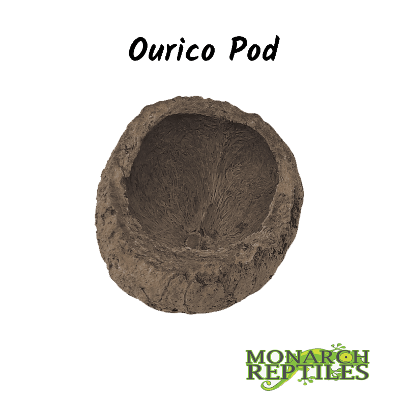 Ourico Pod Ourico Pod