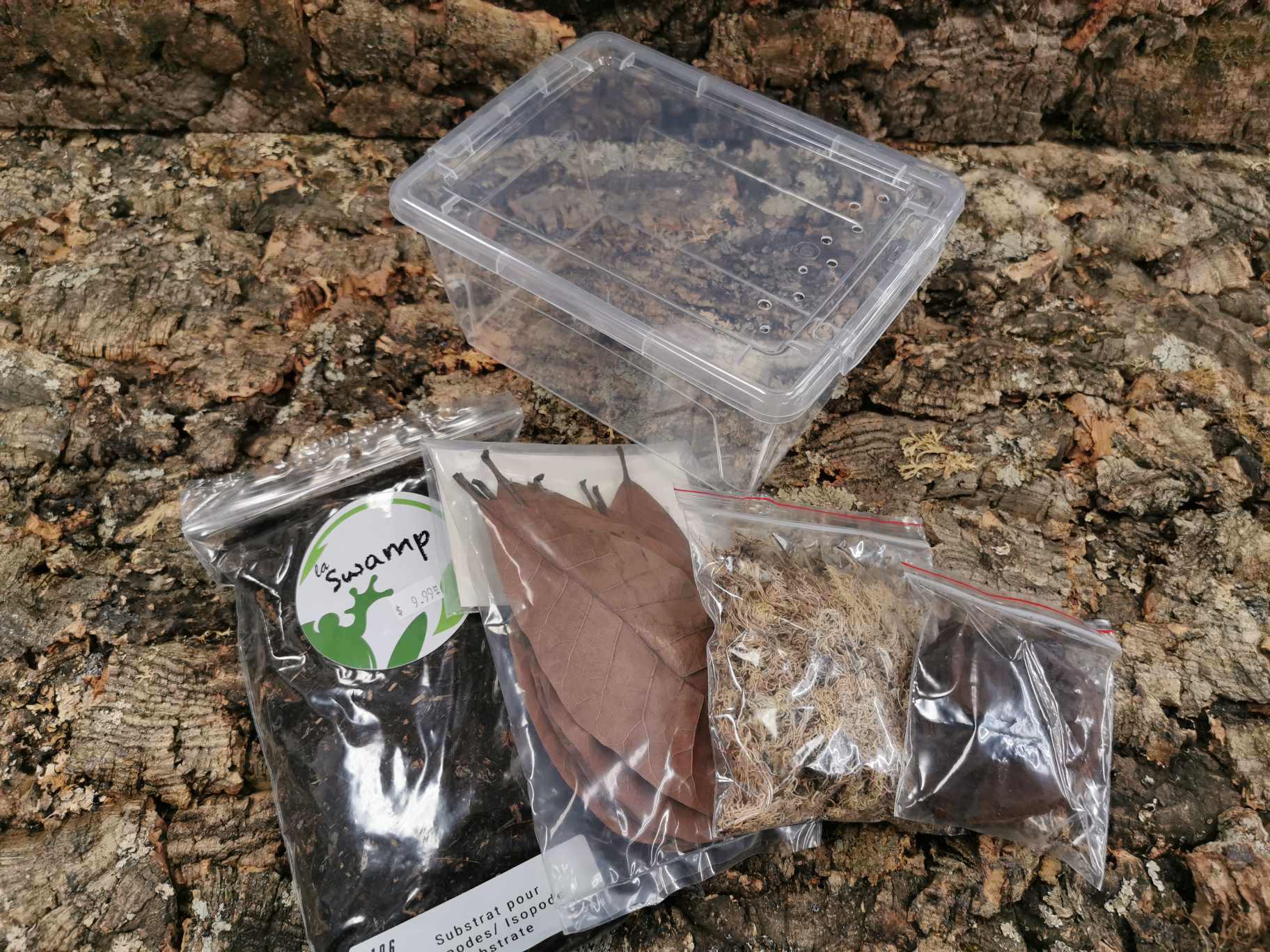 Isopod Starter Kit  - Small  (21 x 15 x 11cm)  Deluxe Isopod Starter Kit  - Small  (21 x 15 x 11cm)  Deluxe