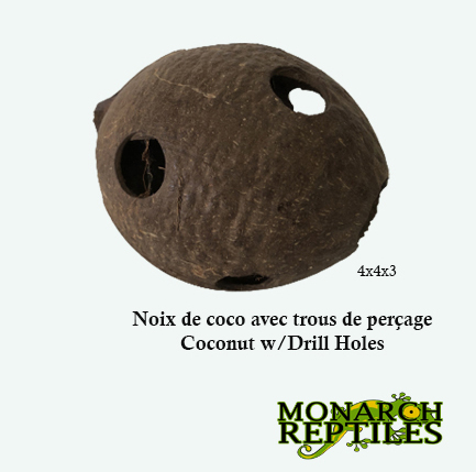Monarch Reptiles - Noix de coco avec trous de forage Monarch Reptiles - Coconut w/ Drill Holes