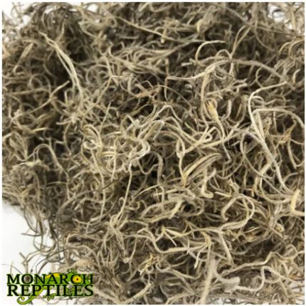 Sapnish Moss
