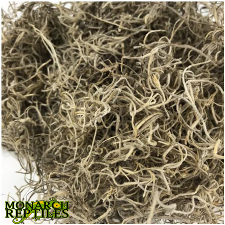 Sapnish Moss Sapnish Moss