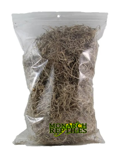 Sapnish Moss