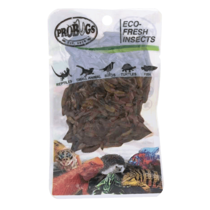 Pro-Bugs Black Soldier Fly Larvae
