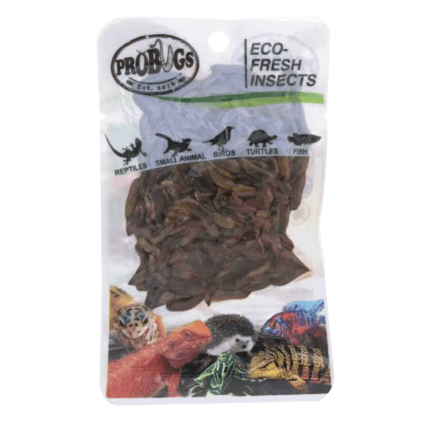 Pro-Bugs Black Soldier Fly Larvae Pro-Bugs Black Soldier Fly Larvae