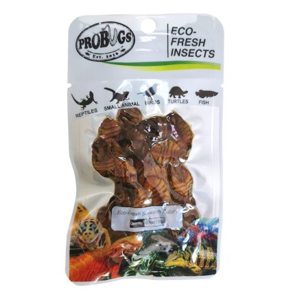 Pro-Bugs Silkworms Pupae