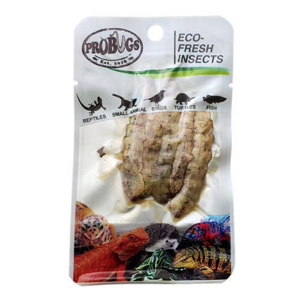 Pro-Bugs Silkworms