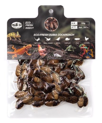 Pro-Bugs Eco-Fresh Bulk Dubia CockRoaches- 150g