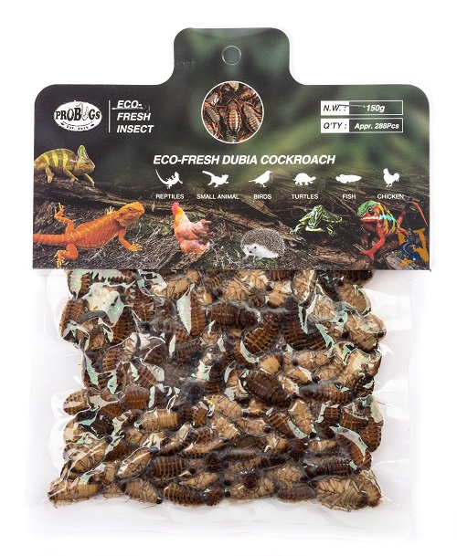 Pro-Bugs Eco-Fresh Bulk Dubia CockRoaches- 150g  Pro-Bugs Eco-Fresh Bulk Dubia CockRoaches- 150g