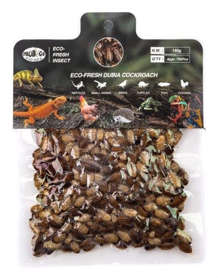 Pro-Bugs Eco-Fresh Bulk Dubia CockRoaches- 150g