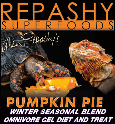 Repashy -  Pumpkin Pie 