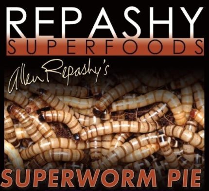 Repashy -  Superworm Pie