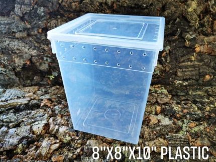 ReptiZoo  - Reptile Stackable Box ( Stand UP) - 8x8x10 - Plastic
