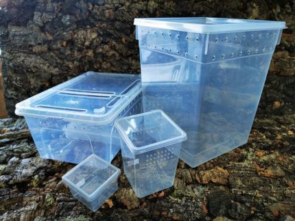 ReptiZoo  - Spider Terrarium - Cube 3x3x2 - Plastic