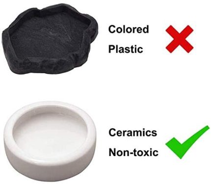 RZ - Worm Dish -Medium