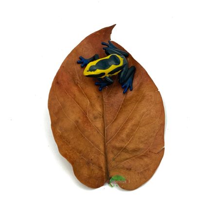 Reptiscape - Avocado Leaves