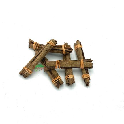 Reptiscape - Catappa Bark Logs - 6 Pack
