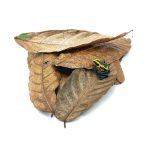 Reptiscape - Cocoa Leaves