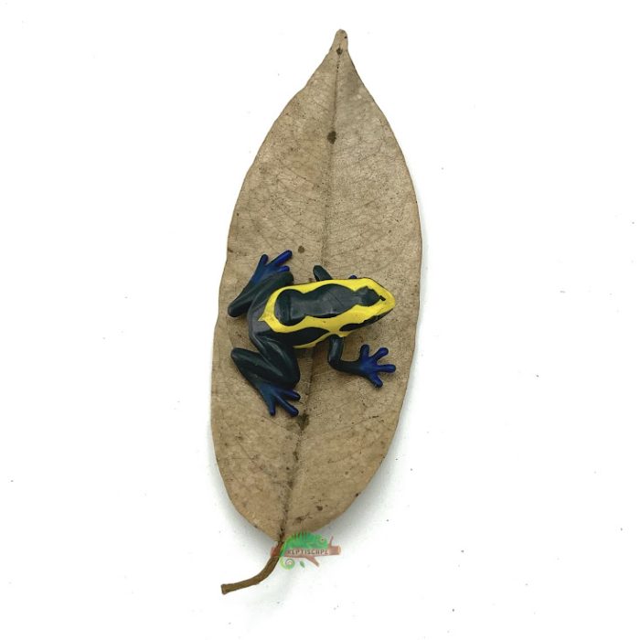 Reptiscape - Durian Leaves