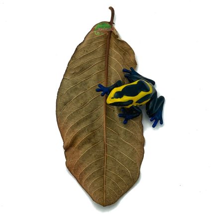 Reptiscape - Guava Leaves