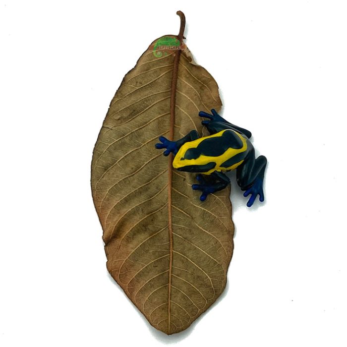 Reptiscape - Guava Leaves