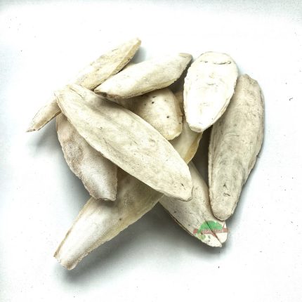 Reptiscape - Cuttlebone –10 pack