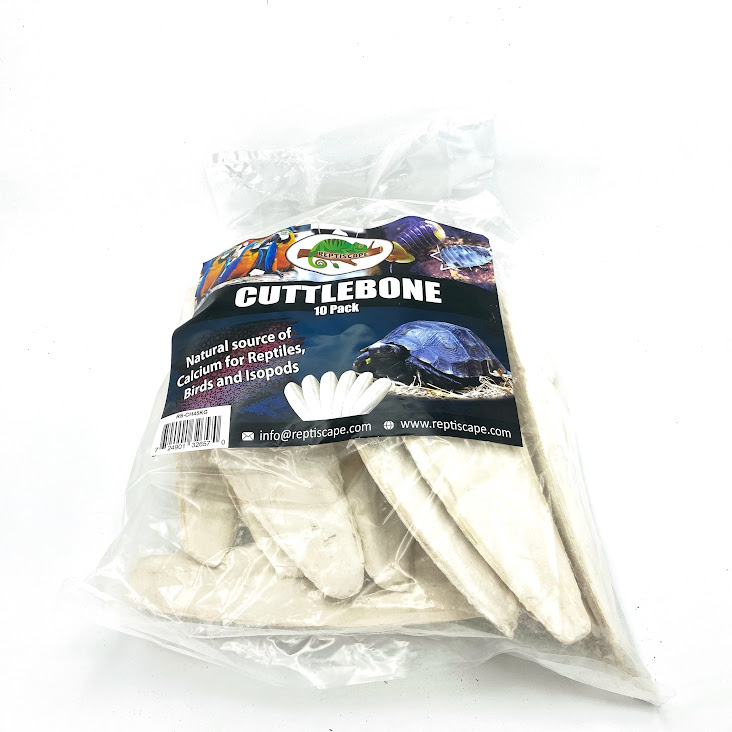 Reptiscape - Cuttlebone –10 pack Reptiscape - Cuttlebone –10 pack
